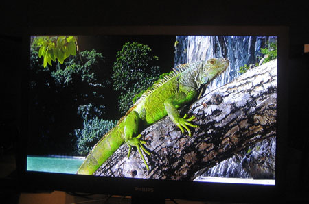 Klik for større billede Philips 8 mm LCD-TV